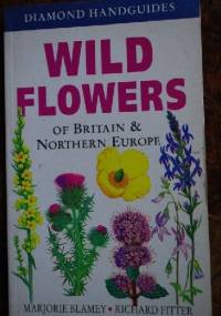 Wild Flowers of Britain and Northern Europe - Marjorie Blamey