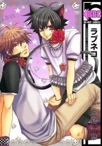 Love Neko - Kazuhiko Mishima