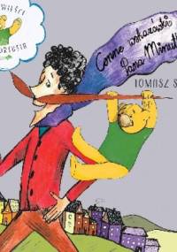 Cenne wskazówki pana Minutki - Tomasz Siwiec