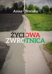 Życiowa zwrotnica - Anna Brzóska