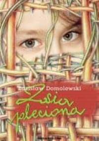 Zosia pleciona - Zdzisław Domolewski