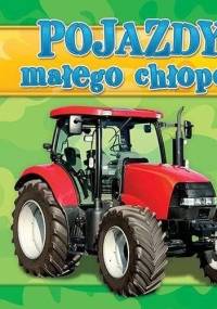 Pojazdy małego chłopca - praca zbiorowa