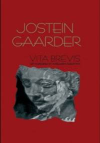 Vita Brevis. List Florii Emili do Aureliusza Augustyna - Jostein Gaarder