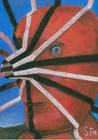 Stasys 60 - Monika Kuc