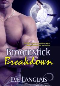 Broomstick Breakdown - Eve Langlais