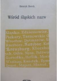 Wśród śląskich nazw - Henryk Borek