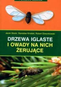 Drzewa iglaste i owady na nich żerujące
