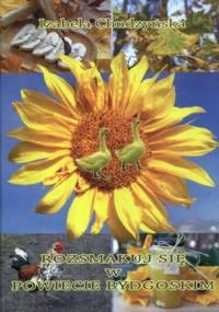 Rozsmakuj się w powiecie bydgoskim - Izabela Chudzyńska