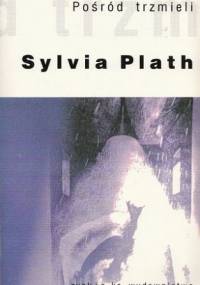 Pośród trzmieli - Sylvia Plath