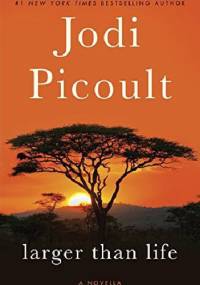 Larger Than Life - Jodi Picoult