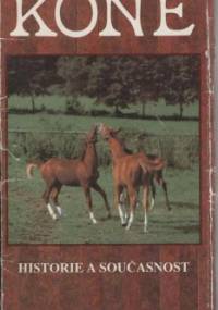Koně - historie a současnost