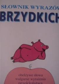 Słownik wyrazów brzydkich - praca zbiorowa