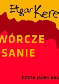 Twórcze pisanie - Etgar Keret