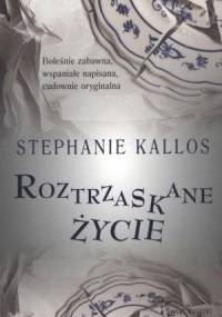 Roztrzaskane życie - Stephanie Kallos