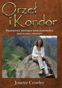 Orzeł i kondor. Prawdziwa historia nieoczekiwanej, mistycznej podróży.