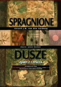Spragnione dusze. Zjawy z czyśćca. Ich widoczne ślady - Muzeum Dusz Czyśćcowych w Rzymie - Gerard Van den Aardweg