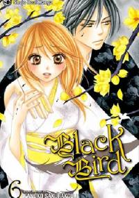 Black Bird, vol. 6 - Kanoko Sakurakouji