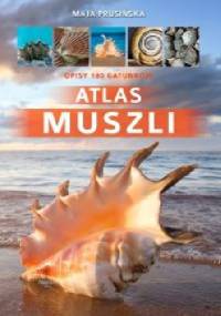 Atlas muszli - Maja Prusińska