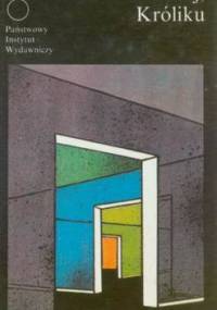 Uciekaj, Króliku - John Updike