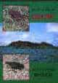 Dziób zięby czyli jak dziś przebiega ewolucja - Jonathan Weiner