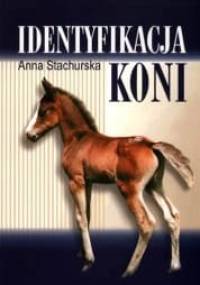Identyfikacja koni - Anna Stachurska