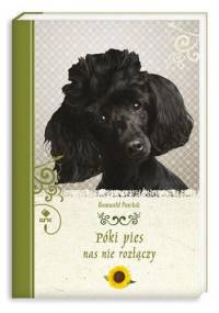 Póki pies nas nie rozłączy - Romuald Pawlak