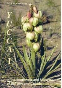 Yucca I - Fritz Hochstatter