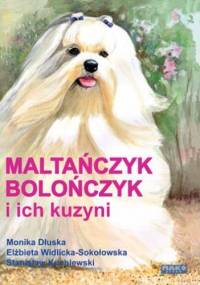 Maltańczyk, bolończyk i ich kuzyni