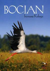 Bocian - Ireneusz Kaługa