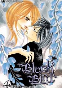 Black Bird, vol. 4 - Kanoko Sakurakouji