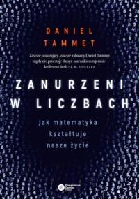 Zanurzeni w liczbach. Jak matematyka kształtuje nasze życie - Daniel Tammet