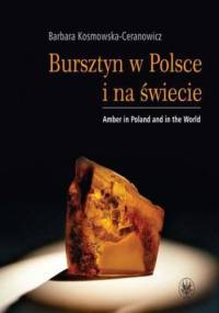 Bursztyn w Polsce i na świecie. Amber in Poland and in the World - Barbara Kosmowska-Ceranowicz