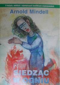 Siedząc w ogniu : Wykorzystanie konfliktów i różnic między ludźmi dla transformacji dużych grup - Arnold Mindell