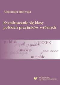 Kształtowanie się klasy polskich przyimków wtórnych - Janowska Aleksandra