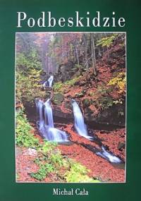 Podbeskidzie - Michał Cała