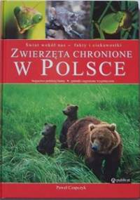 Zwierzęta chronione w Polsce - Paweł Czapczyk