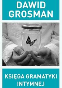 Księga gramatyki intymnej - Dawid Grossman