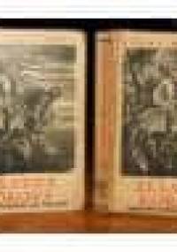 Żelazna korona - Hanna Malewska