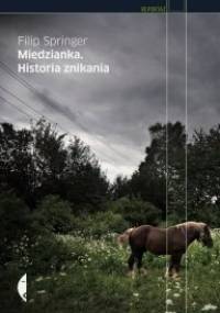 Miedzianka. Historia znikania - Filip Springer