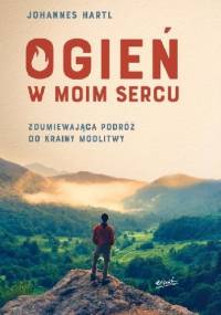 Ogień w moim sercu. Zdumiewająca podróż do krainy modlitwy. - Johannes Hartl