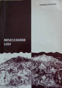 Bieszczadzkie losy. Bojkowie i Żydzi - Andrzej Potocki