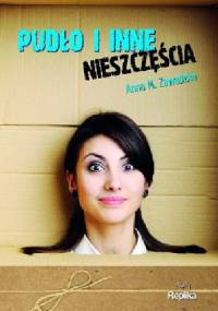 Pudło i inne nieszczęścia - Anna M. Zawadzka