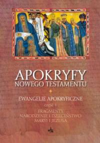 Apokryfy Nowego Testamentu. Ewangelie apokryficzne, część 1. Fragmenty. Narodzenie i dzieciństwo Maryi i Jezusa - Marek Starowieyski