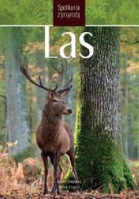 Las - Dorota Zawadzka, Marek Sławski