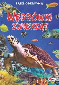Wędrówki zwierząt - Robert Jacek Dzwonkowski