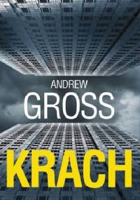 Krach - Andrew Gross