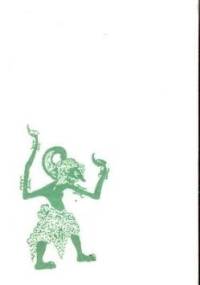 Przygoda z Indonezją - Janusz Kamocki