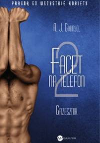 Grzesznik - A.J. Gabryel