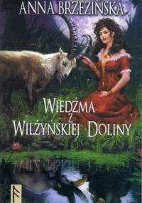 Wiedźma z Wilżyńskiej Doliny - Anna Brzezińska