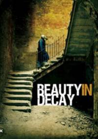 Beauty in Decay. The Art of Urban Exploration - RomanyWG